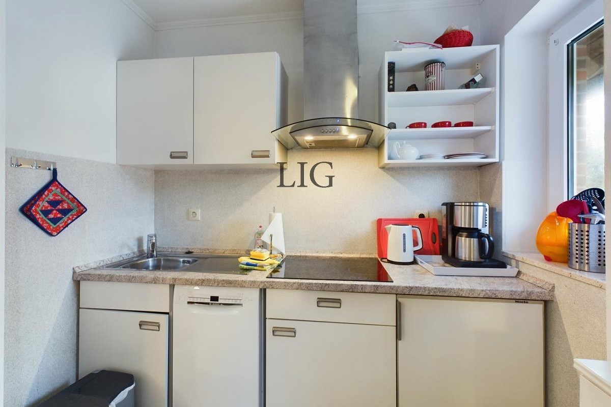 Ferienwohnung Lachmöwe